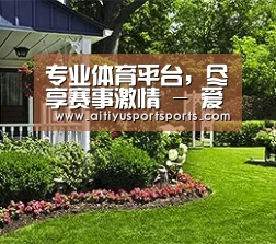 专业体育平台，尽享赛事激情 - 爱体育