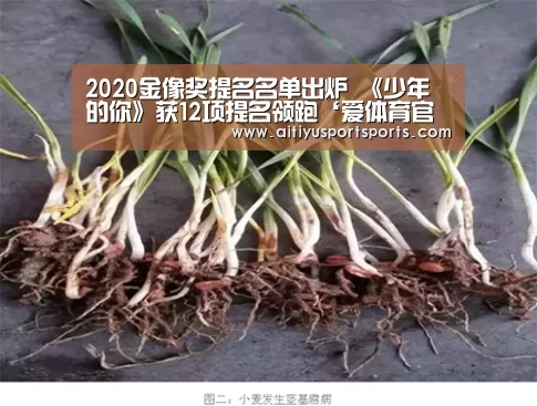 2020金像奖提名名单出炉 《少年的你》获12项提名领跑‘爱体育官网’(图2) 爱体育官网