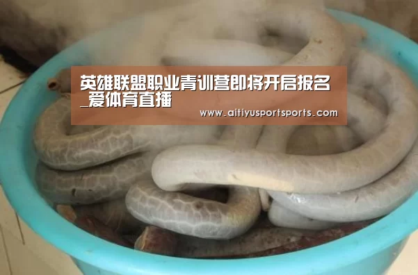 爱体育