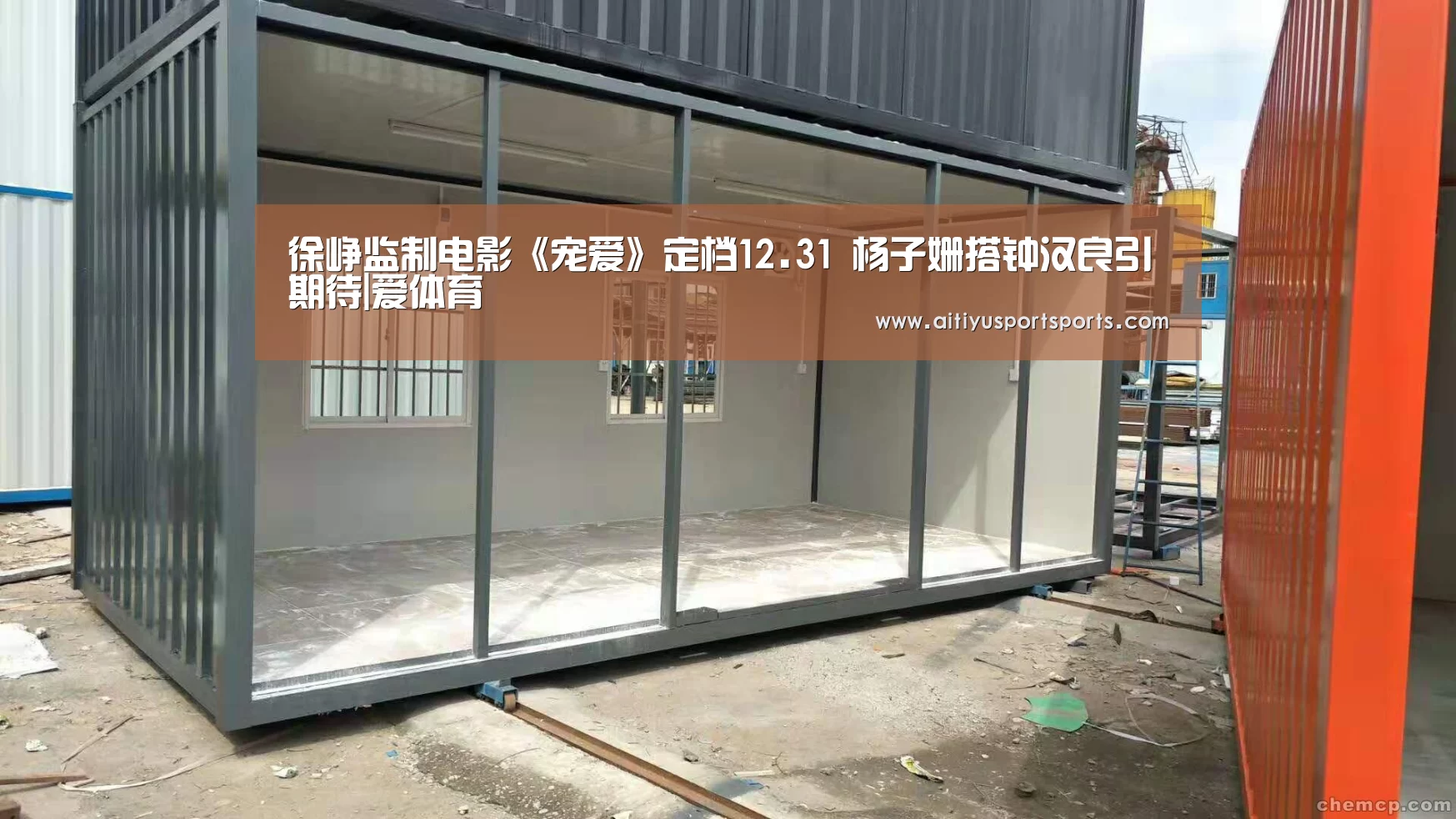 徐峥监制电影《宠爱》定档12.31 杨子姗搭钟汉良引期待|爱体育(图1) 爱体育官网