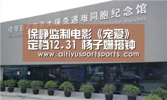 徐峥监制电影《宠爱》定档12.31 杨子姗搭钟汉良引期待|爱体育(图2) 爱体育