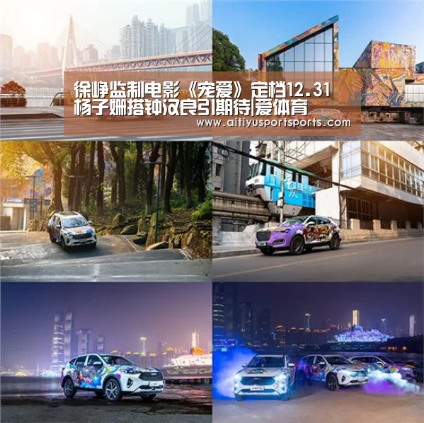 徐峥监制电影《宠爱》定档12.31 杨子姗搭钟汉良引期待|爱体育(图3) 爱体育