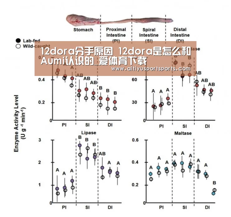 12dora分手原因 12dora是怎么和Aumi认识的_爱体育下载(图3) 爱体育